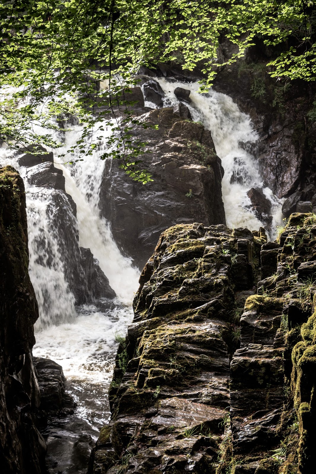 Las imágenes que yo veo Imprescindibles en tu visita a Escocia (11). The Hermitage un bosque de Las imágenes que yo veo Imprescindibles en tu visita a Escocia (11). The Hermitage un bosque de