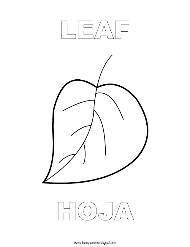 Dibujos Inglés - Español con H: Hoja - Leaf