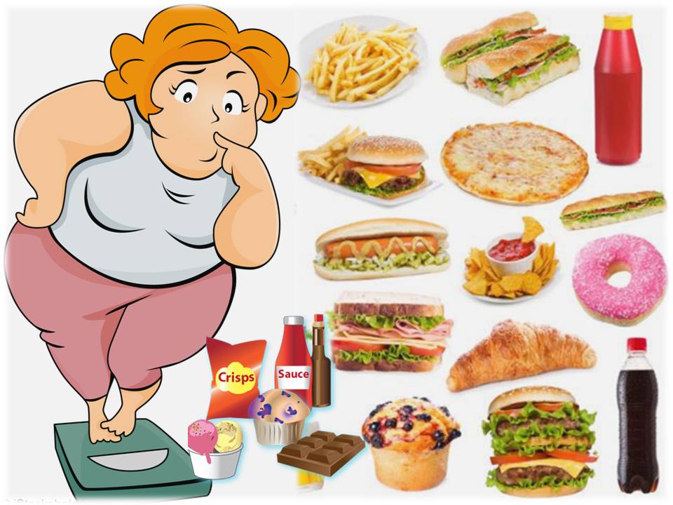 LA OBESIDAD Y LAS GRASAS EN LA ALIMENTACIÓN