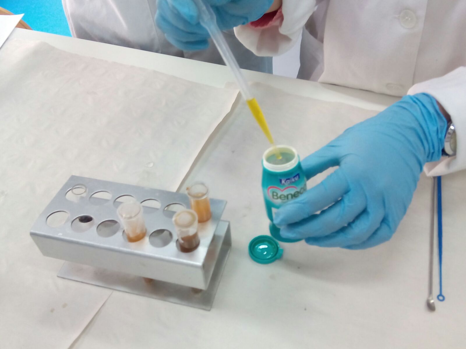 LABORATORIO DE DIAGNÓSTICO CLÍNICO OBSERVACIÓN DE HECES