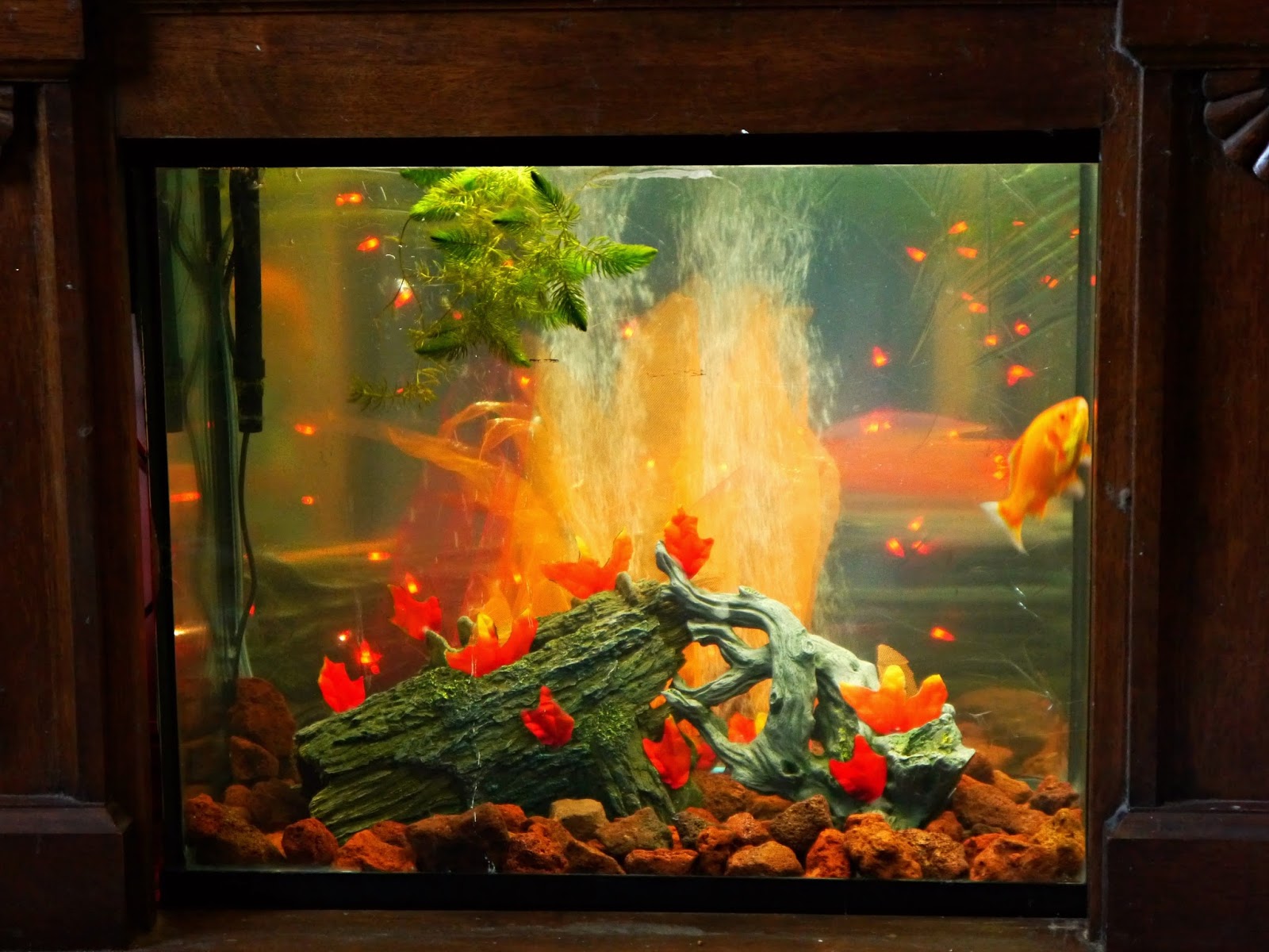 Suzy Homefaker Aquarium Fireplace