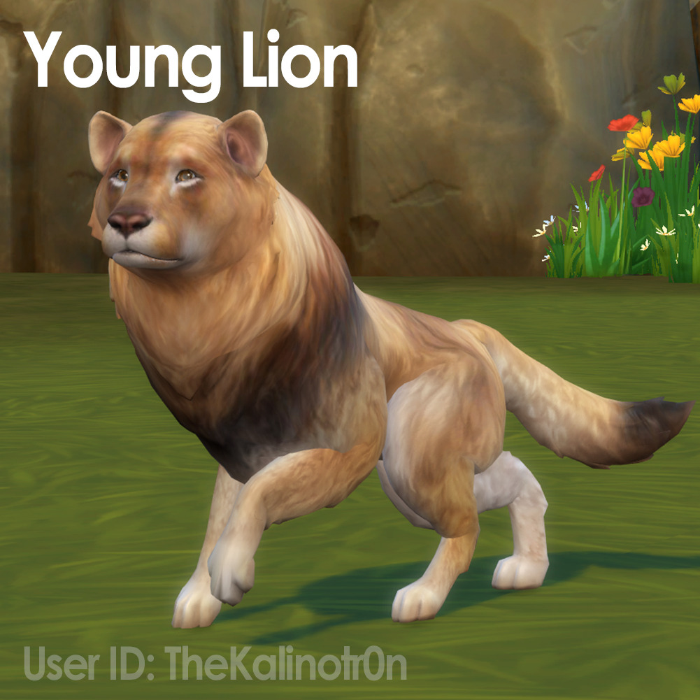 Sims 4 CC's The Best Animals by Kalino