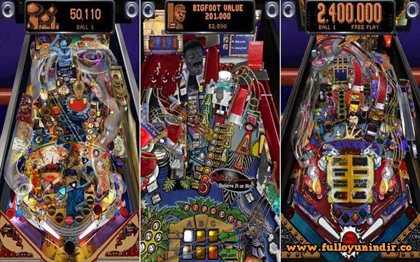Pinball Arcade Apk indir