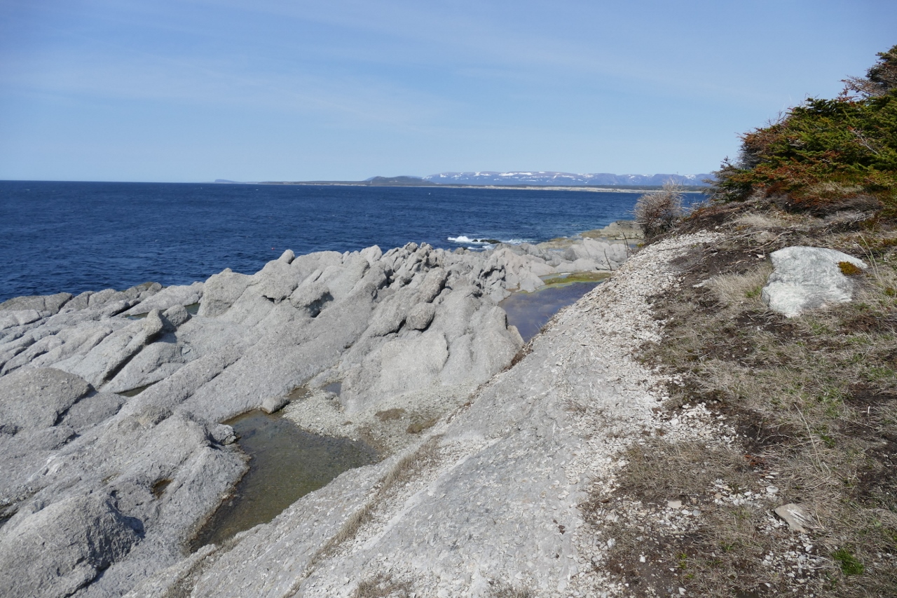 Traveling with Pam Cow Head, Newfoundland