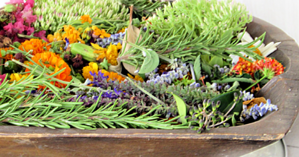 Garden Potpourri We're Still Here