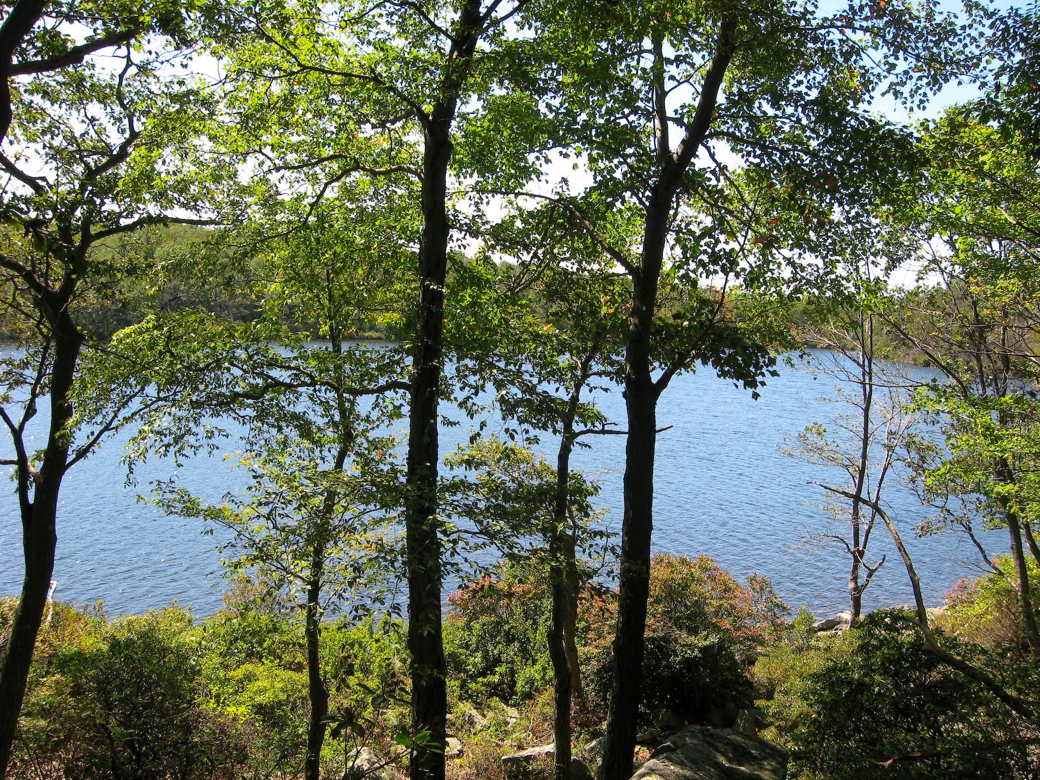 Let It Shine Sunfish Pond and Raccoon Ridge, Delaware Water Gap