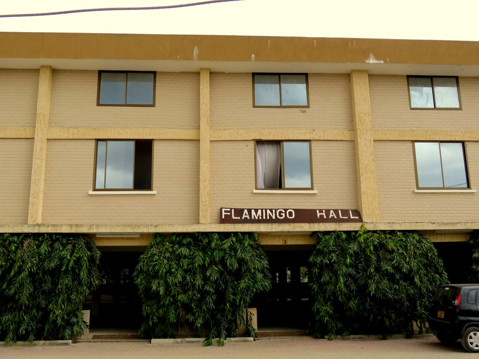 MRISHO PHOTOGRAPHY_2015 SUN SET_ FLAMINGO HALL MBEZI BEACH DAR ES SALAAM