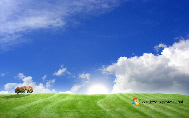 Landschap Windows 8 wallpaper met gras blauwe lucht wolken en Windows 8 tekst