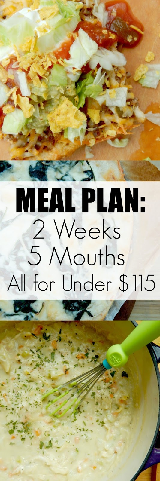 Meal Plan: 2 Weeks, 5 Mouths, All for Under $115...a superb plan for a hungry family!  Plenty of leftovers for lunches and extras that will stock your fridge and pantry. (sweetandsavoryfood.com)