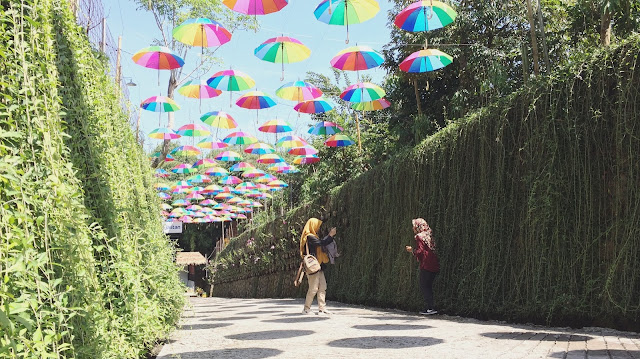 Ines Yuanta Blog >> Salah satu spot foto di Taman Botani Sukorambi Salah satu spot foto di Taman Botani Sukorambi yang instagrammable.