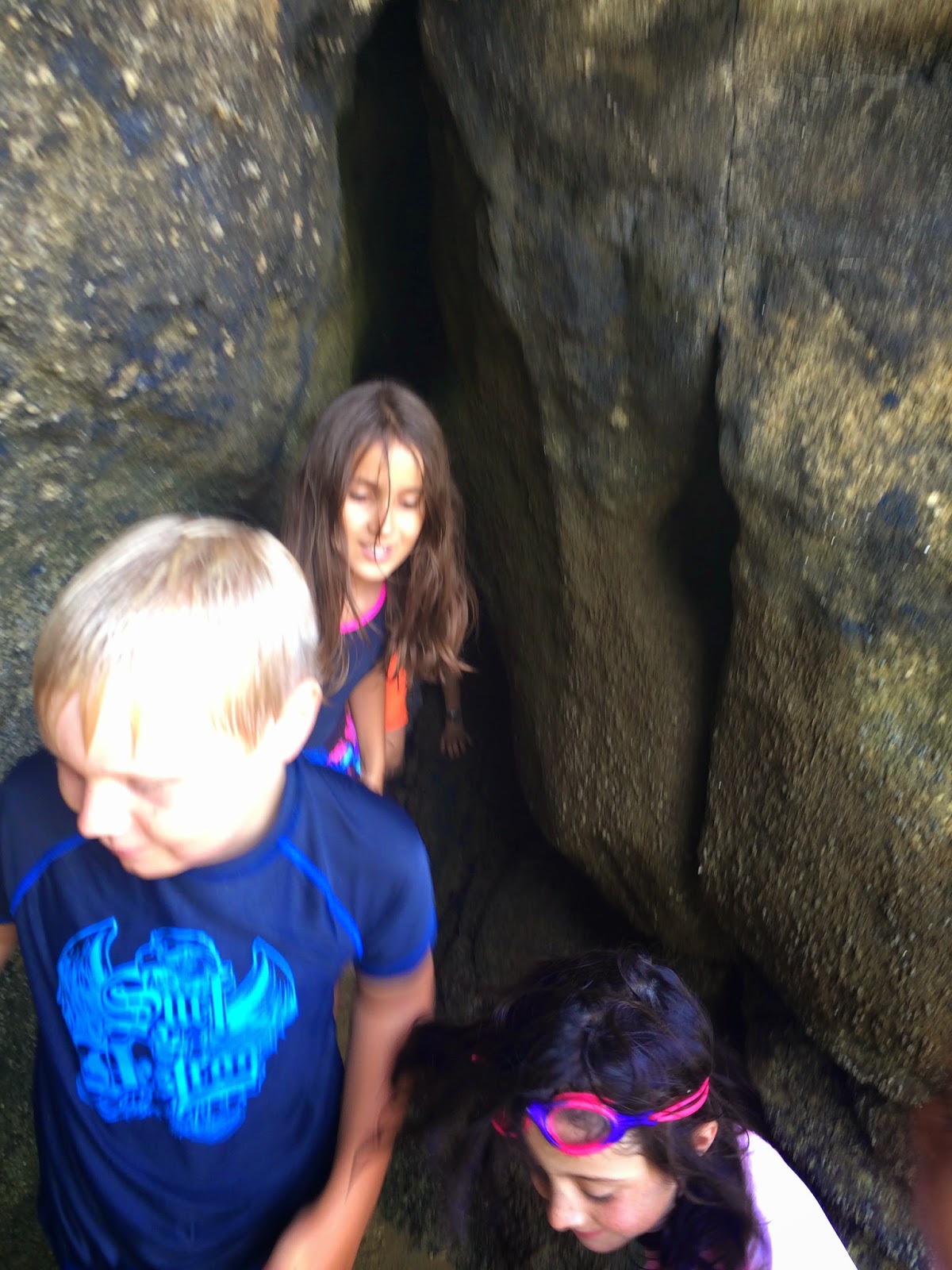 Trip to Tinline Bay, Abel Tasman. Summer Holidays