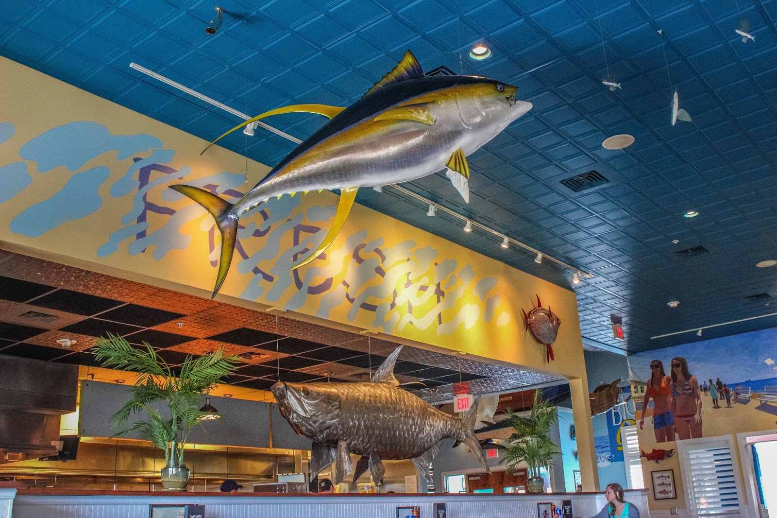 Cannundrums Delaware's Big Fish Grill on the Riverfront Wilmington