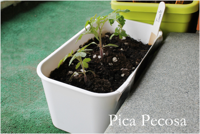cesto-plastico-ikea-reciclado-en-maceta-diy