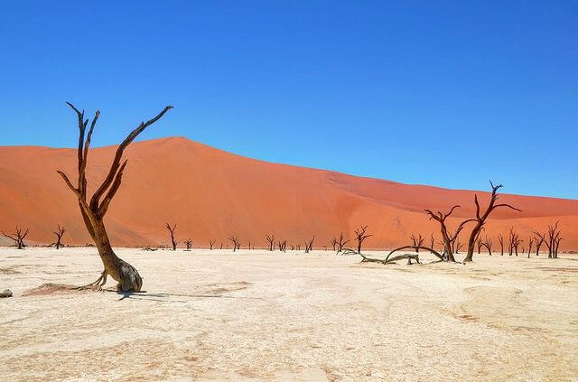 Deadvlei Namibia - foto Instagram @mp_travelphotography Deadvlei Namibia - foto Instagram @mp_travelphotography