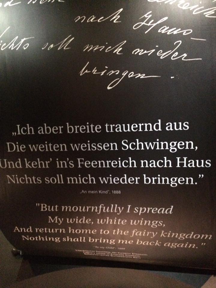 Chameleon A Tck Cck Experience 2016