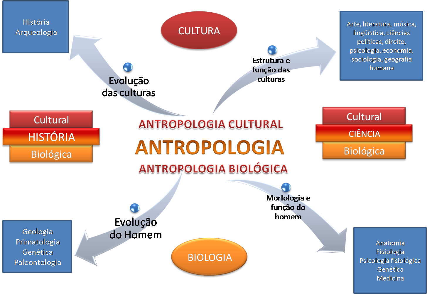 Linguística  Uma (in)certa antropologia