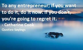 entrepreneurs quotes