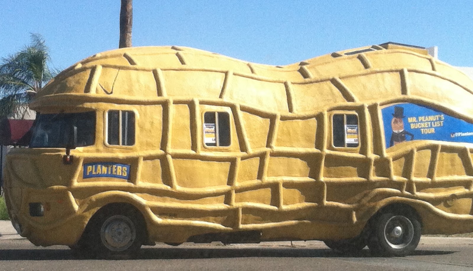 Tucson Daily Photo Tucson's Nutty Drivers!