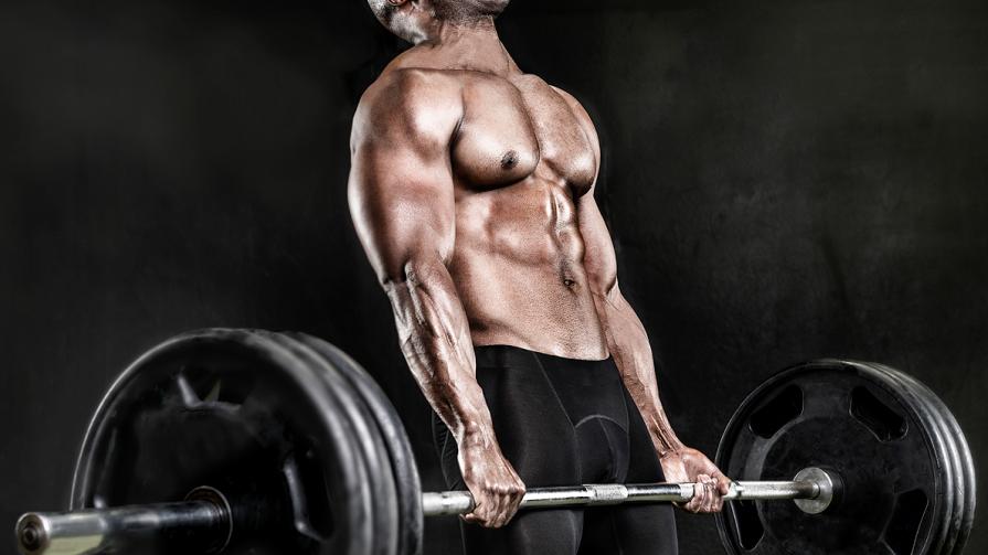 Muscle Palace: The 10 Rules of Building Muscle Mass