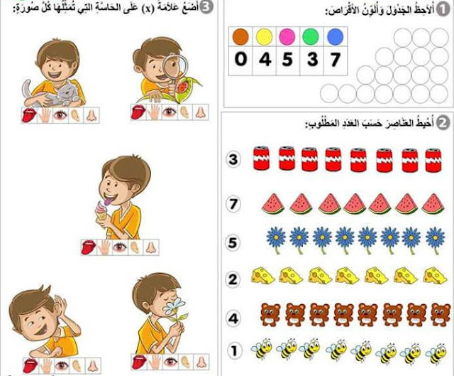 سلسلة تمارين دعم في مادة الرياضيات للسنة الأولى إبتدئي الجيل الثاني سلسلة تمارين دعم في مادة الرياضيات للسنة الأولى إبتدئي الجيل الثاني