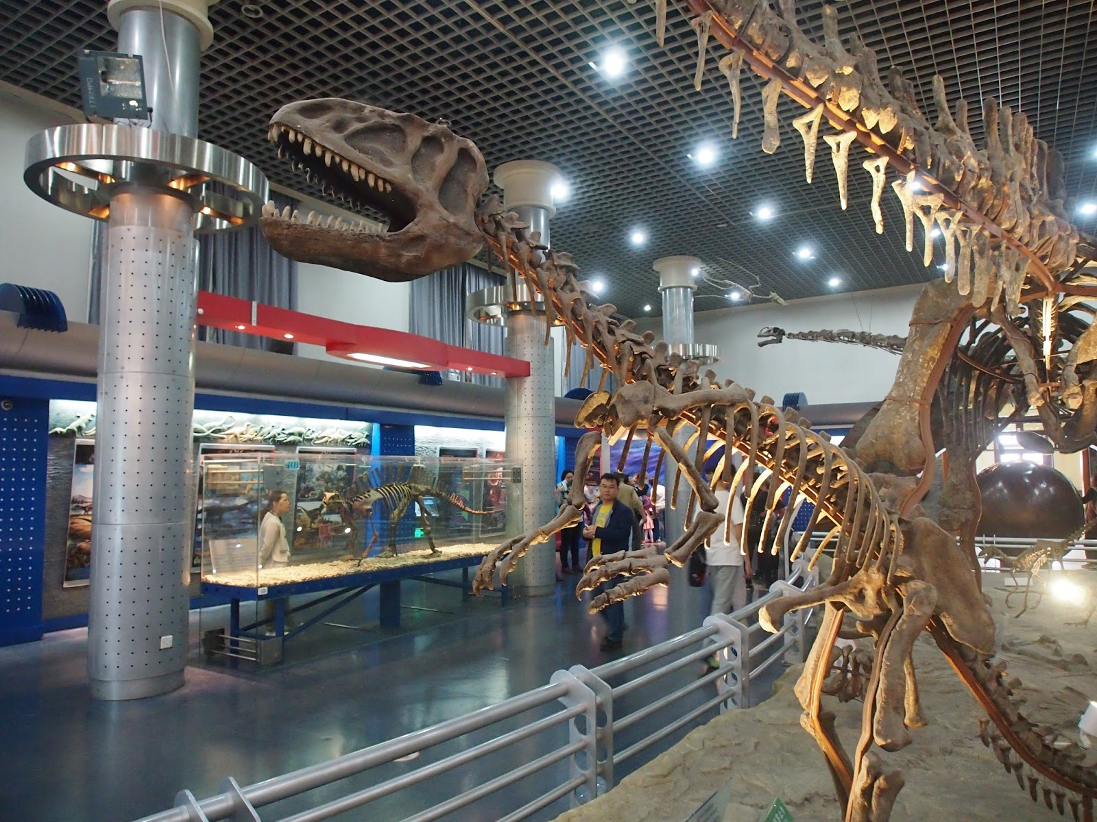 Что такое палеонтологический музей