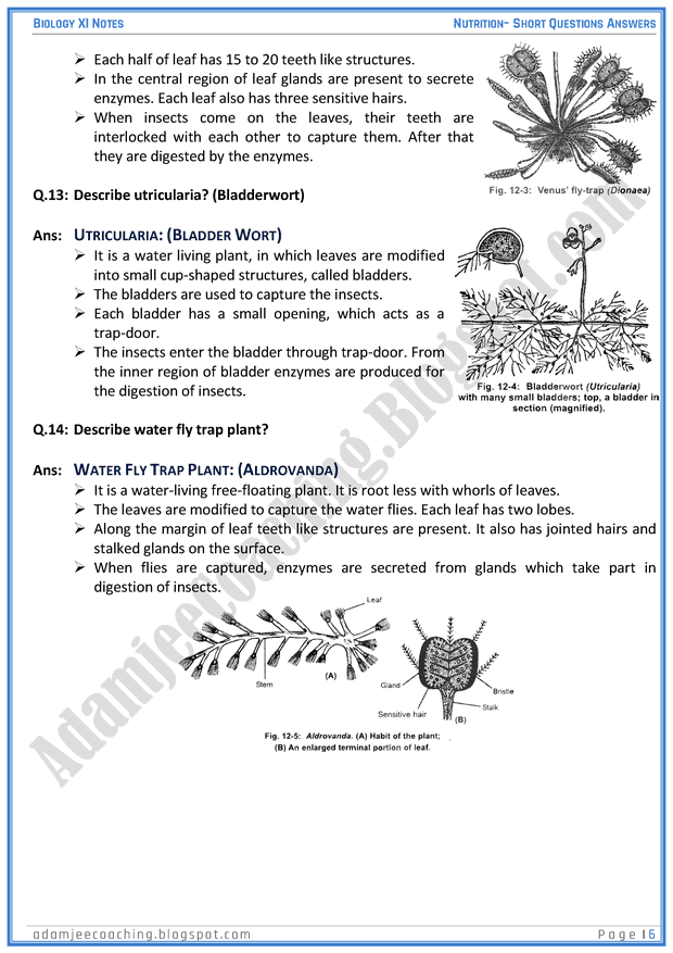 nutrition-short-question-answers-biology-11th