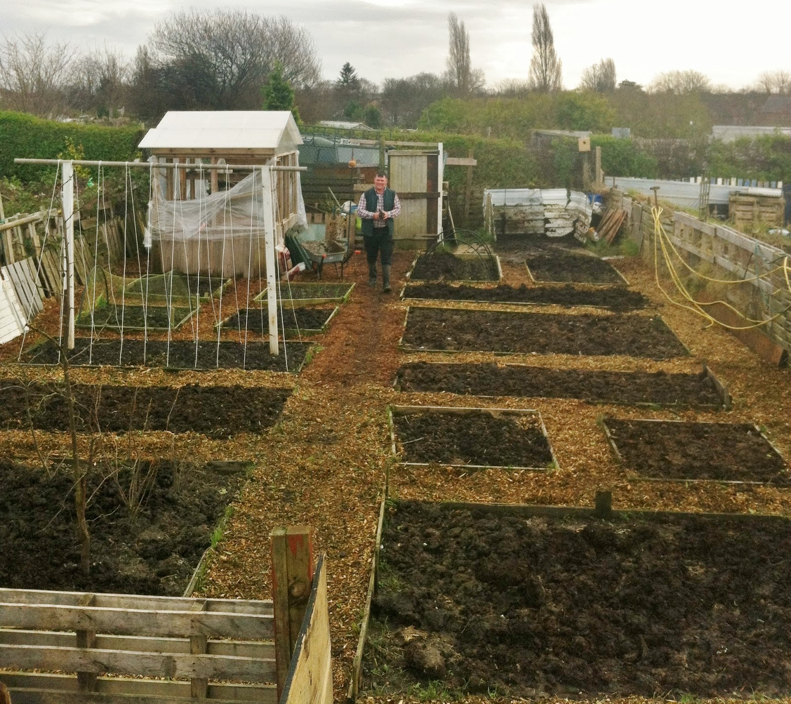 Bobs Allotment Diary D.I.Y runner bean frame.