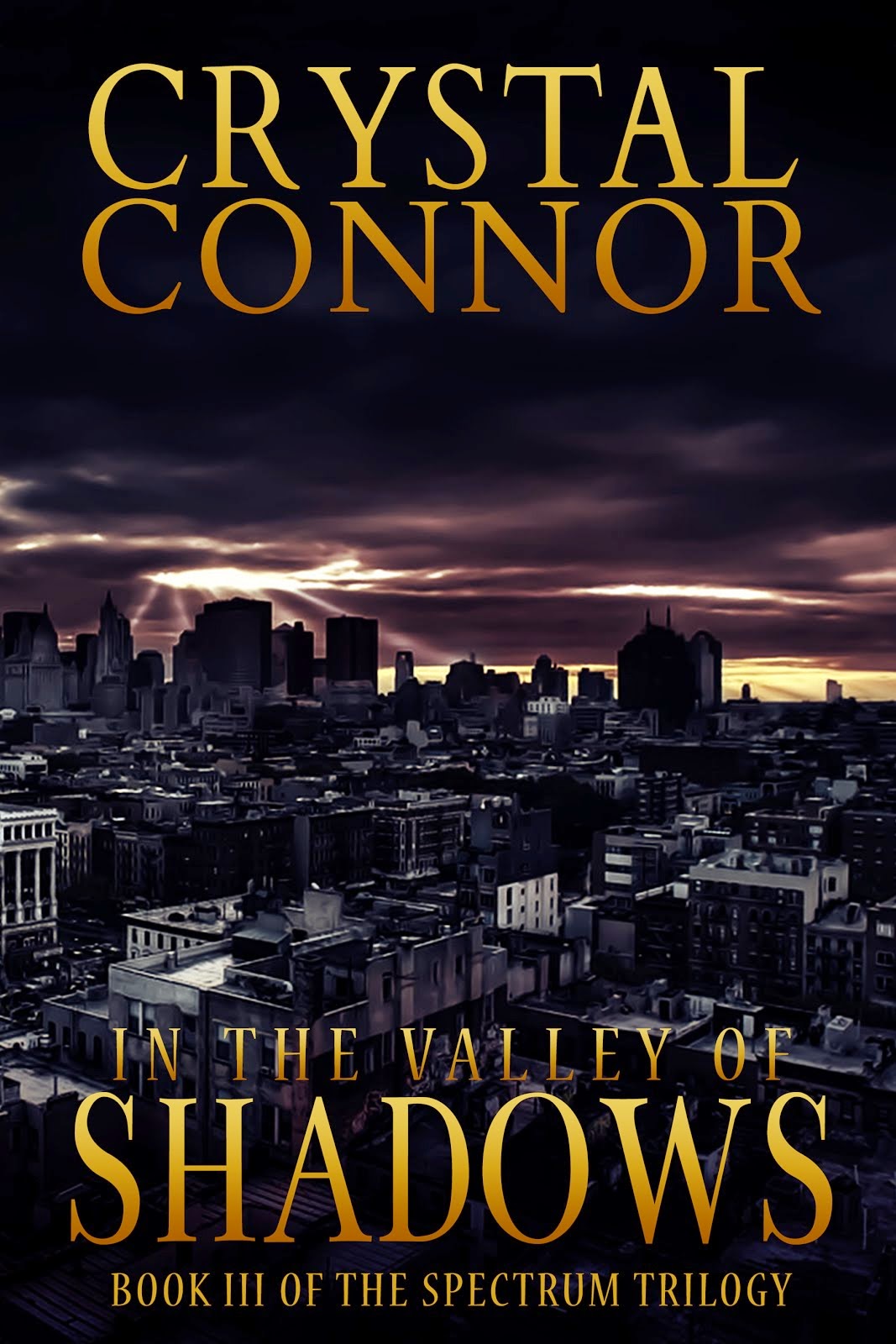 Click here to purchase In The Valley of Shadows!