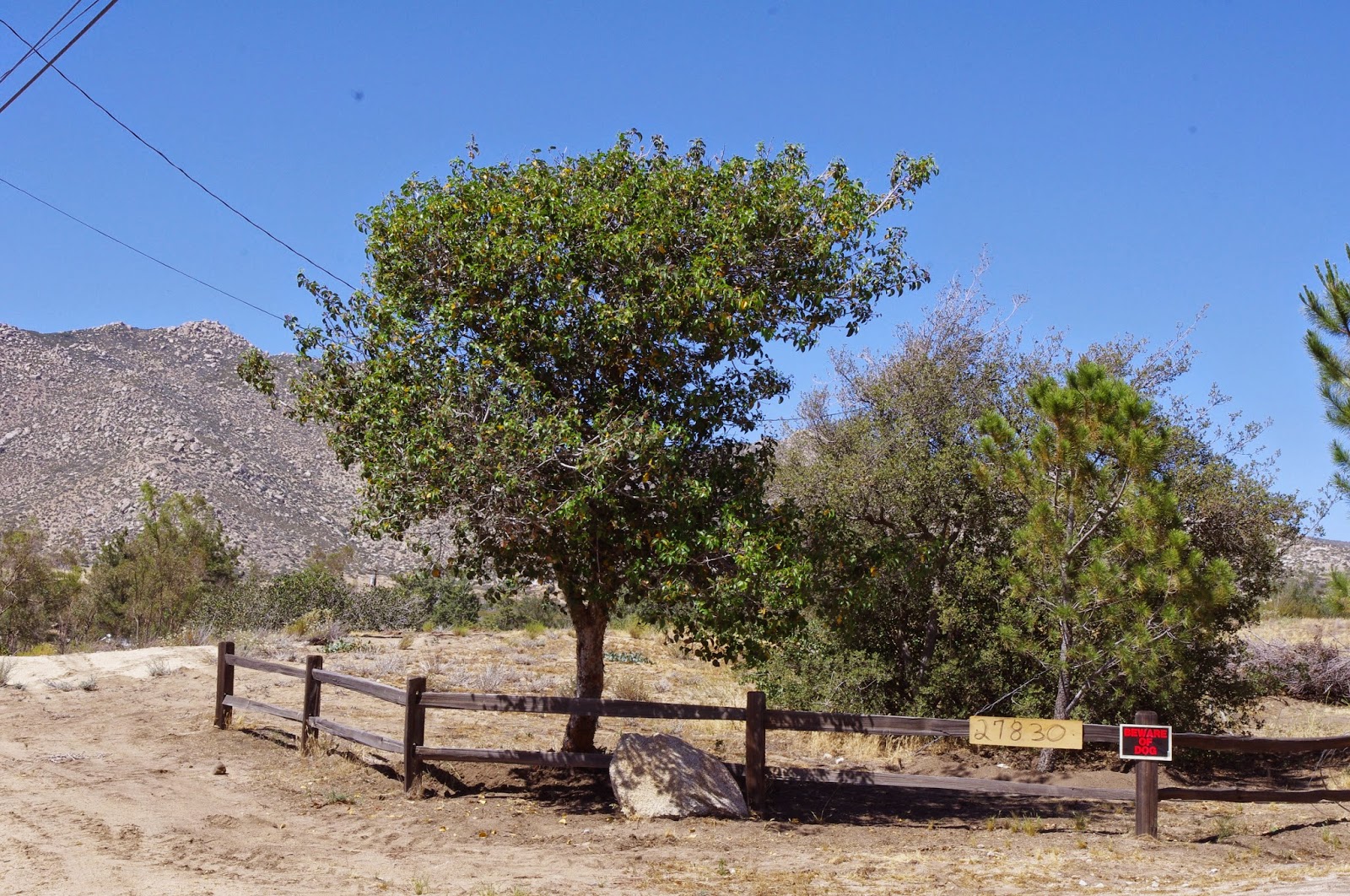Earth's Internet & Natural Networking: Creating Chaparral Alcoves in ...