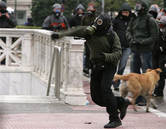 greece riot dog, greek riot dog, athens riot dog