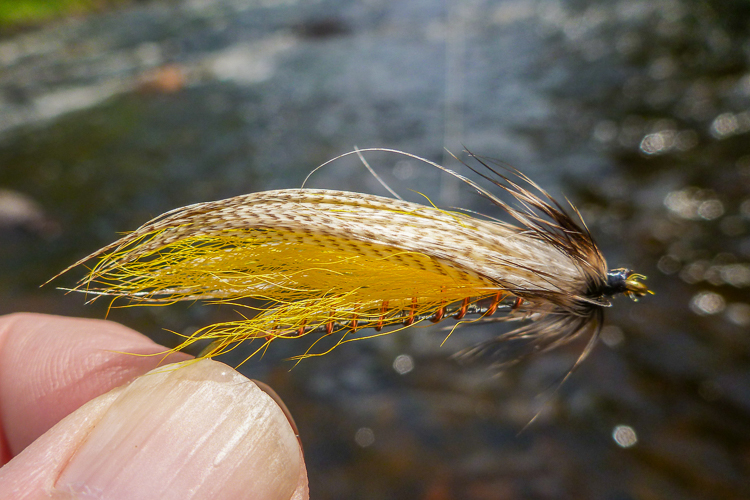 Fishing With Flies :: Blog: A nice day on the Miller's River