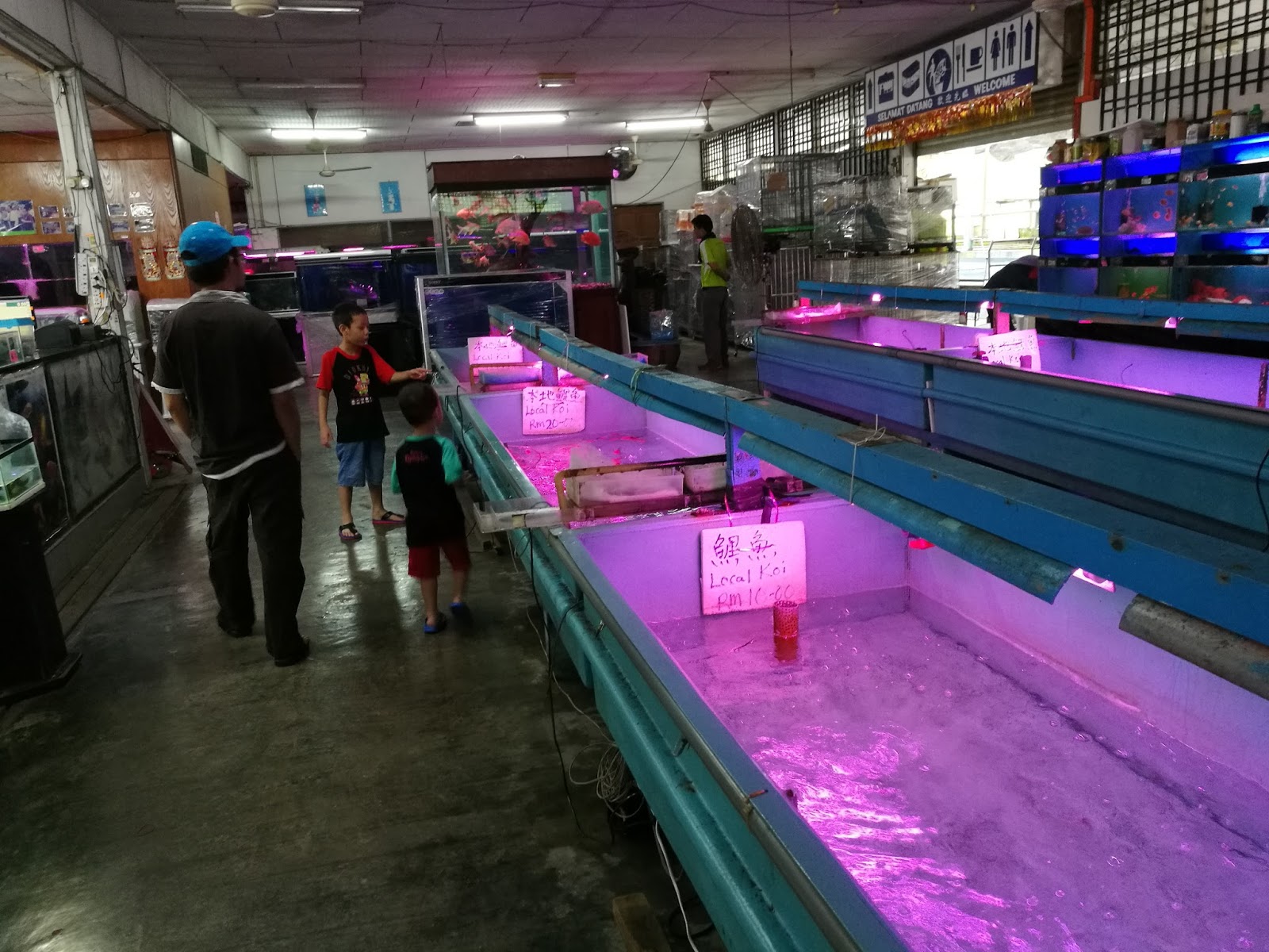 Nanyang Fish Farm, Kulai, Johor