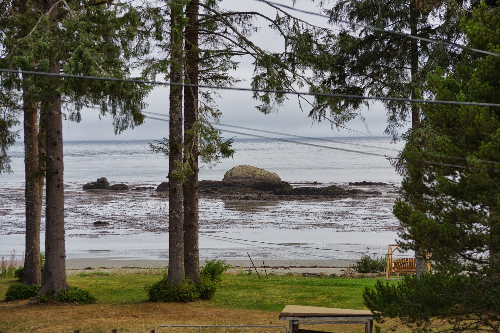 The Greenbelt Neah Bay