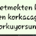 Çok Düşündüm