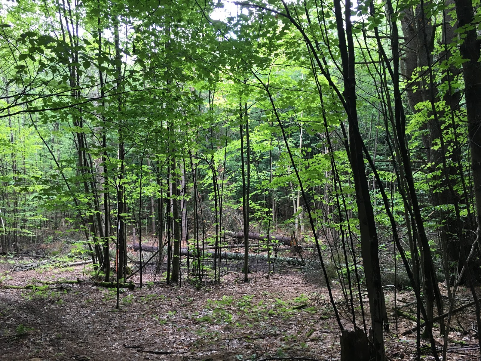 NRCS wildlife friendlyhabitat management