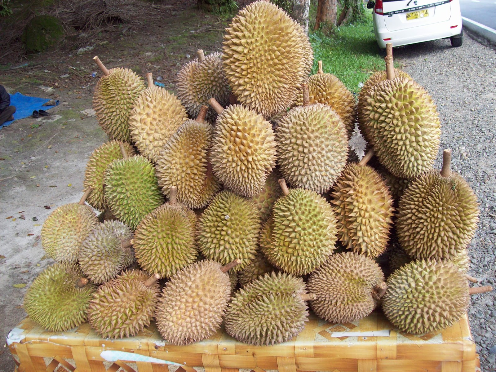 Kenangan indah yang tak terlupakan.....: Perjalanan Medan-Parapat