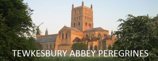 Tewkesbury Abbey Peregrines