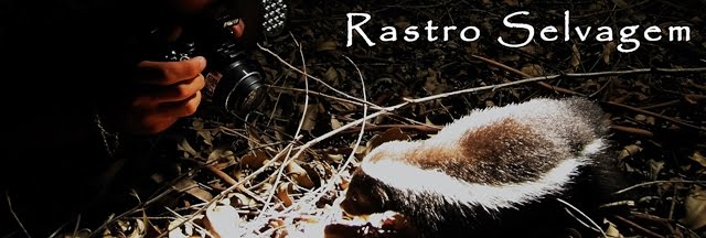 RASTRO SELVAGEM