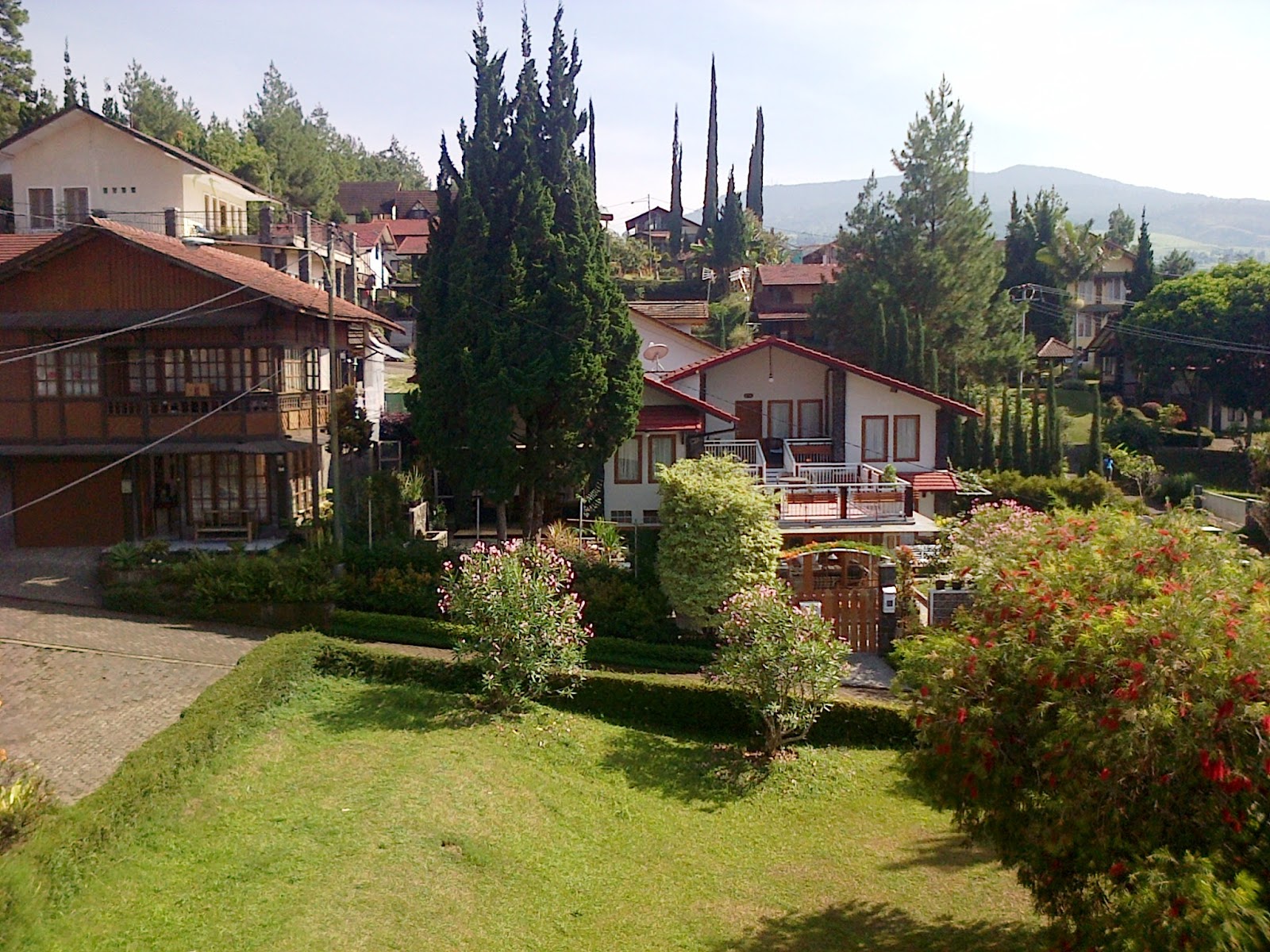 15+ Villa Putih Istana Bunga PNG