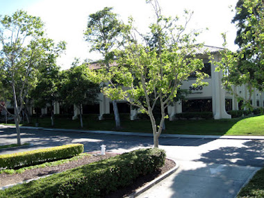 Yahoo's First Building 1995