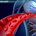 Here Are 8 Warning Signs Of A Blood Clot That Can't Be Ignored
