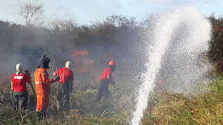 Número de incêndios em vegetação em 2018 cresce cerca de 25% em relação ao ano passado Número de incêndios em vegetação em 2018 cresce cerca de 25% em relação ao ano passado
