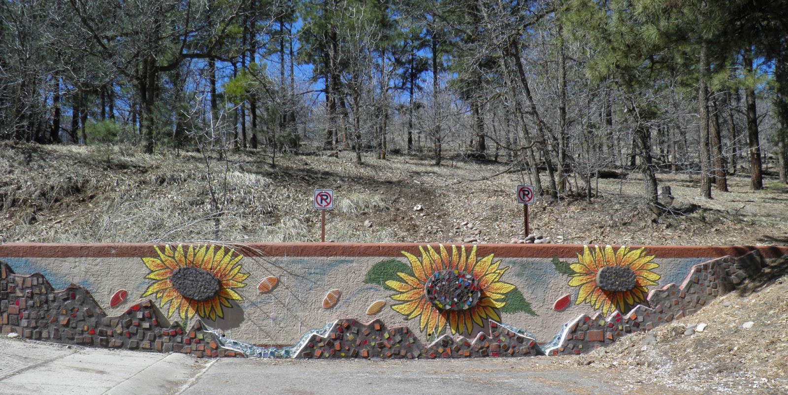 walking flagstaff: spring is coming