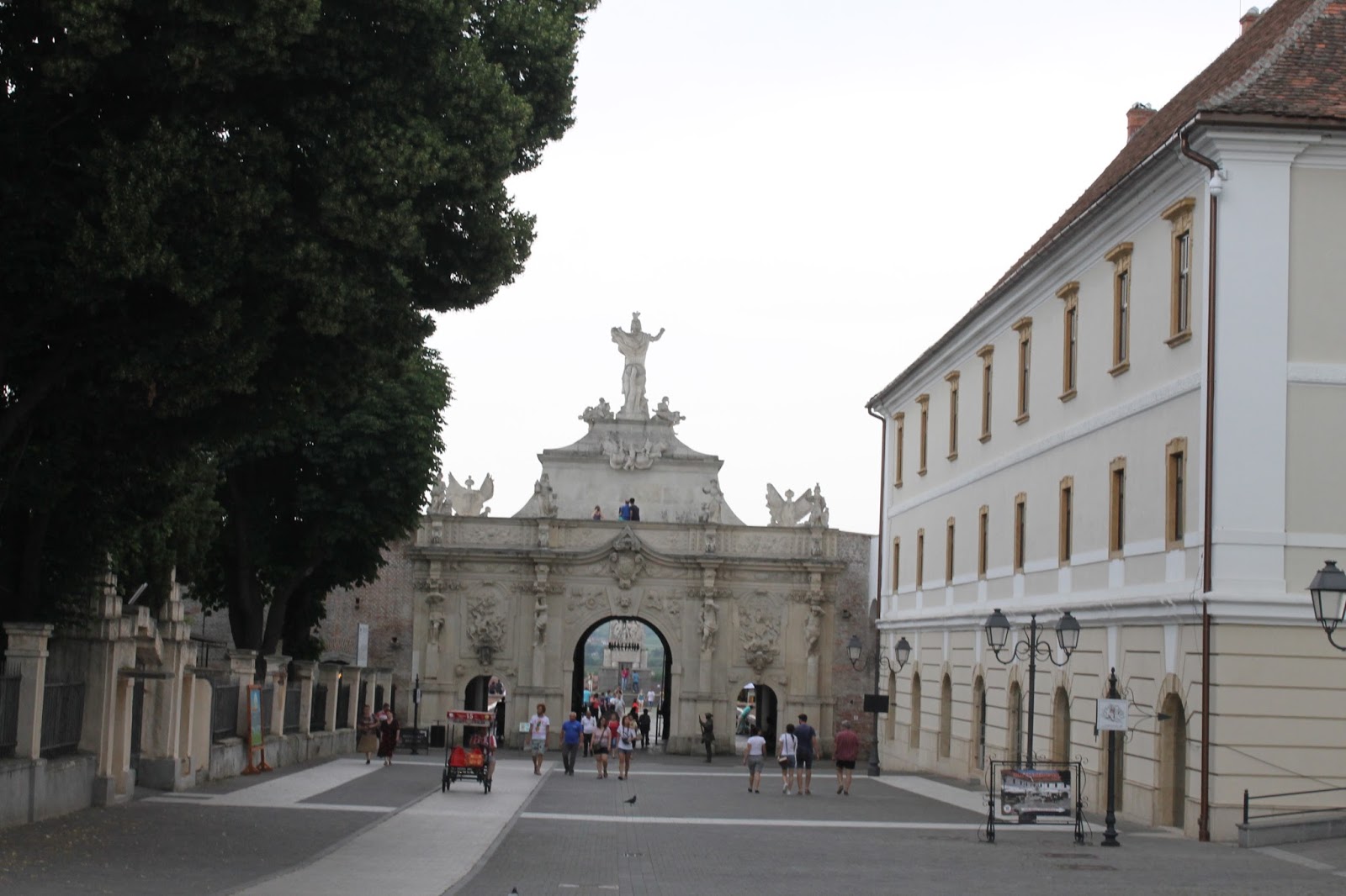 Caini de vanzare timisoara