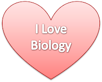 Love biology