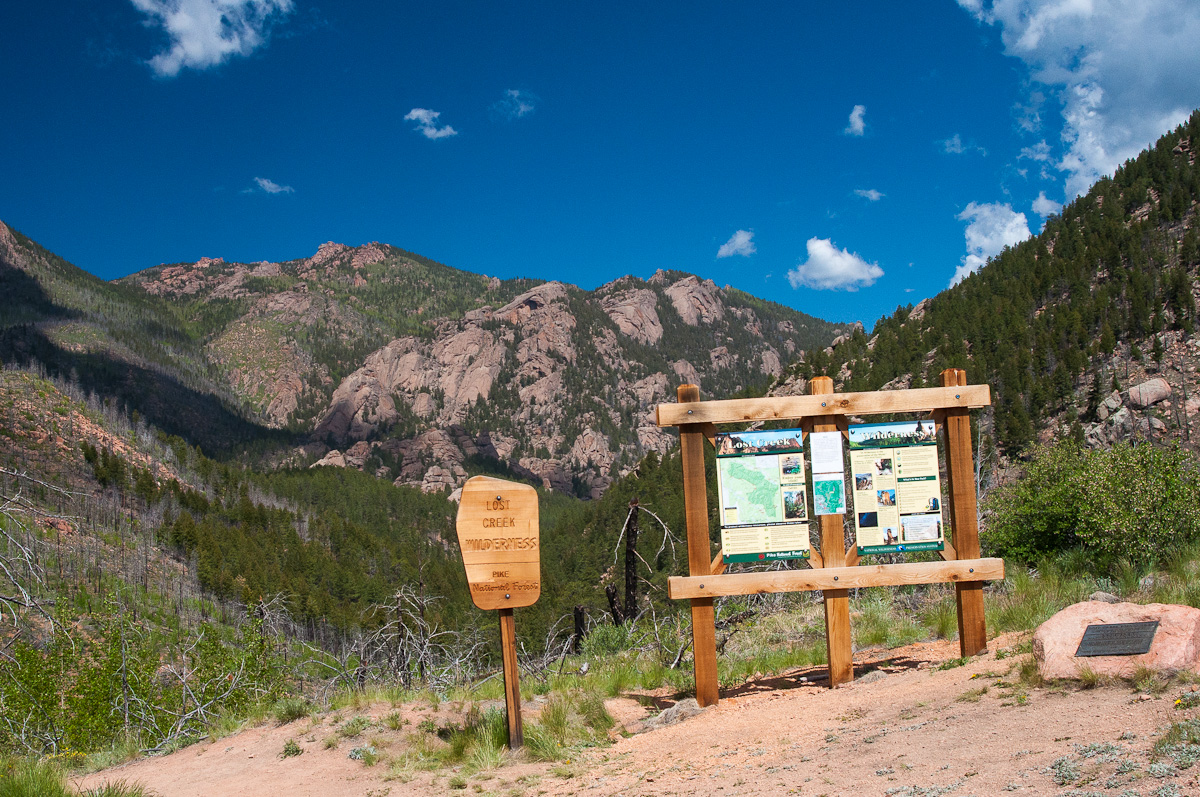 A Tree Falling Goose Creek Trail, Part I