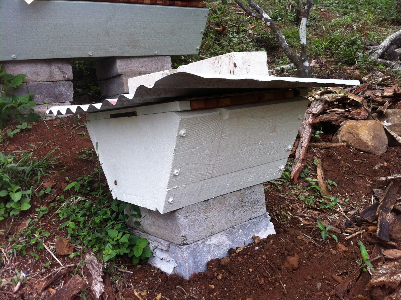 Bruce Teakle's Pages Top bar hive design