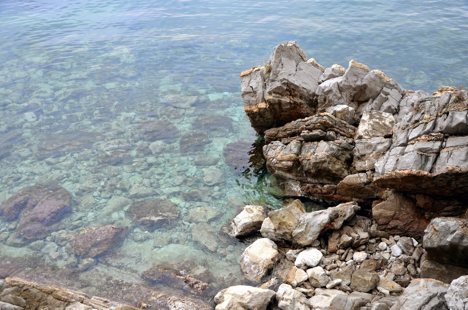 Температура воды в черногории