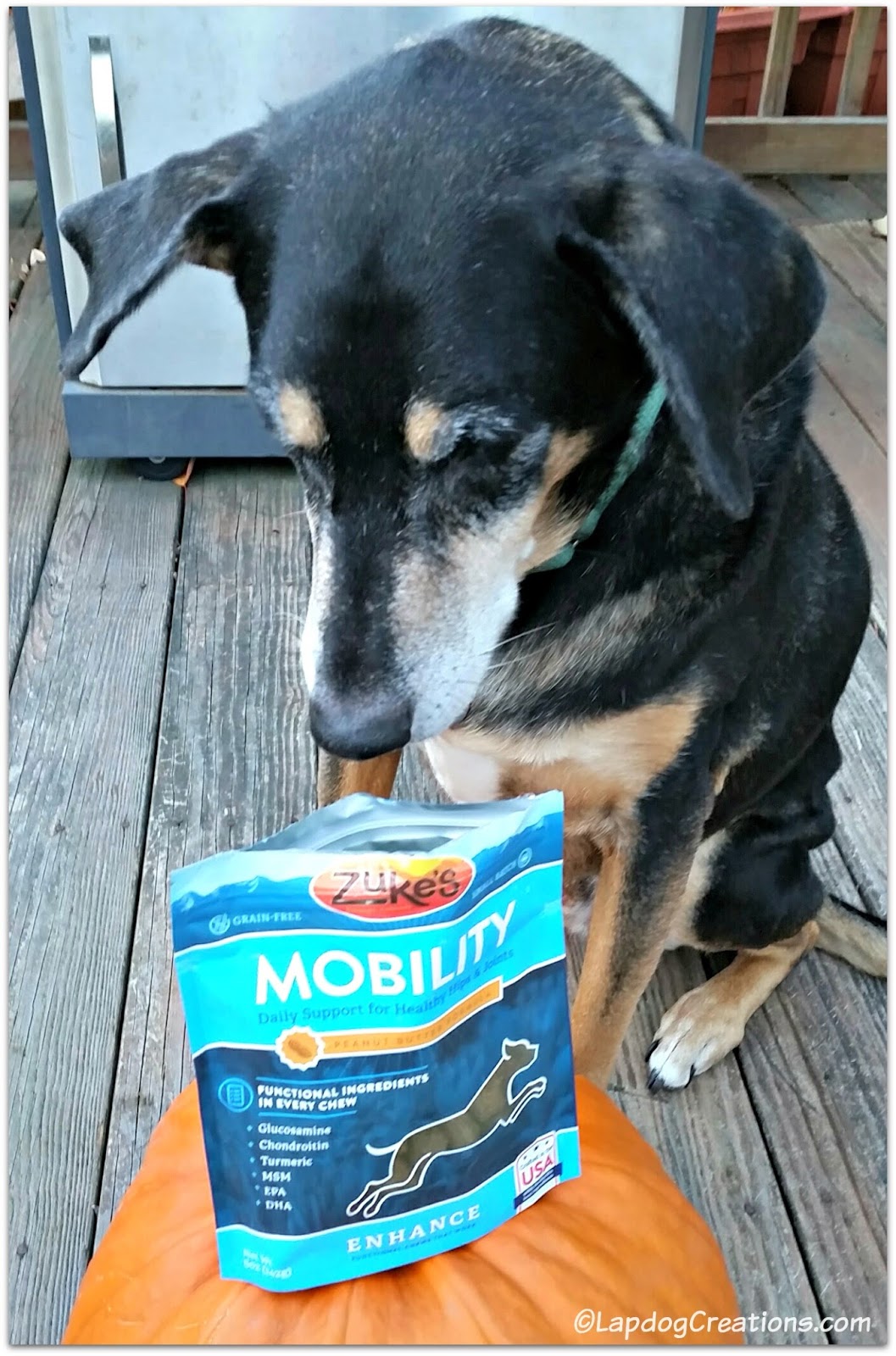 green tripe petsmart