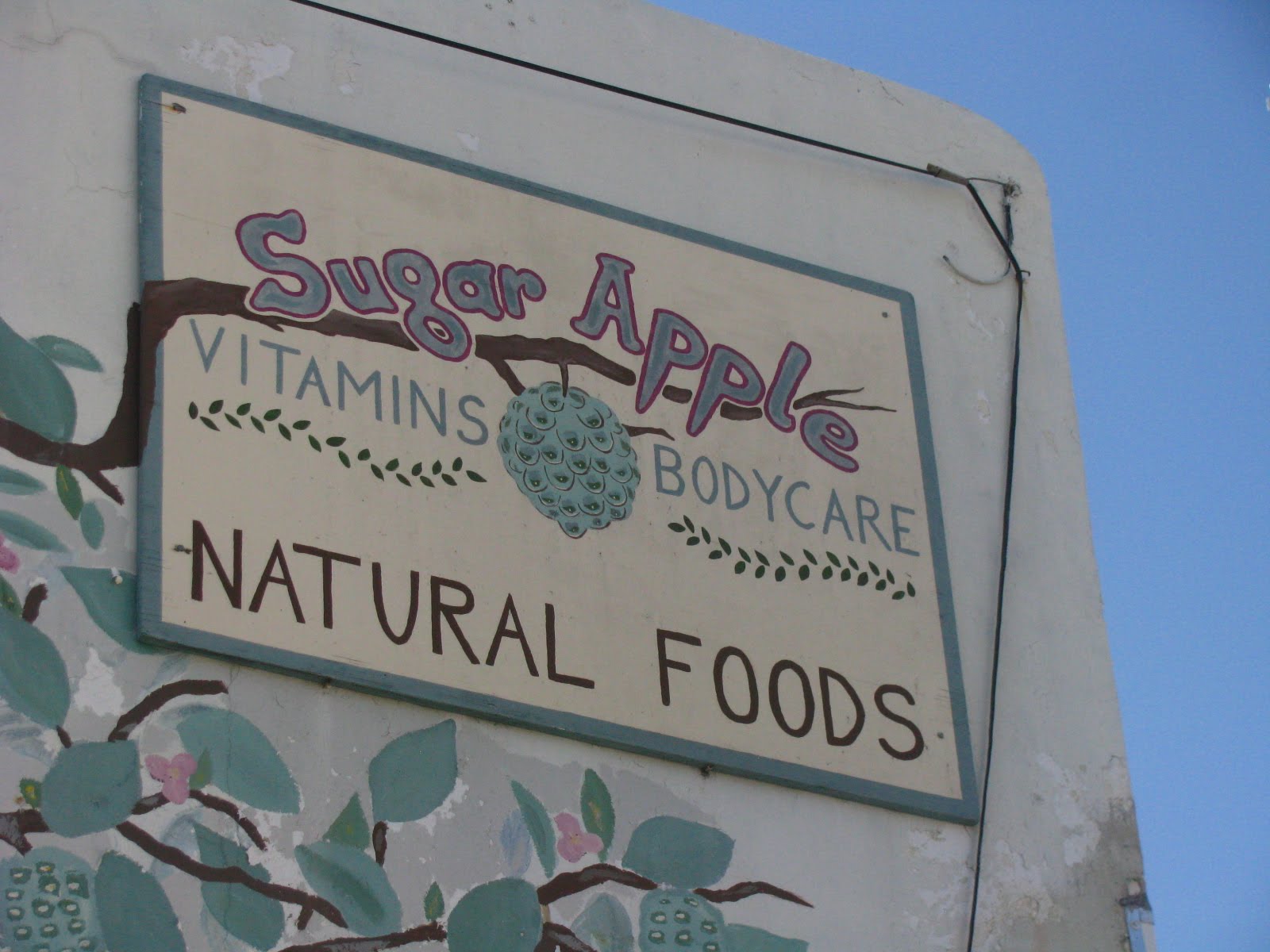 getrennt Opa Herz sugar apple key west Dampfer Hass Peitsche